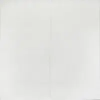 Самоклеюча настінно-стельова панель біла 700x600x5мм  