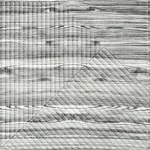 Самоклеюча 3D панель 500х500х5мм Бамбук Дерево Зебра (2884)